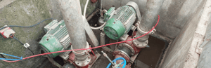 Silver fern farms yardmaster end suction pumps pareora