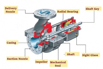 Single Stage Centrifugal Pump Diagram