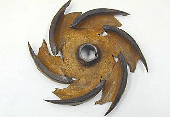word-image-5.png