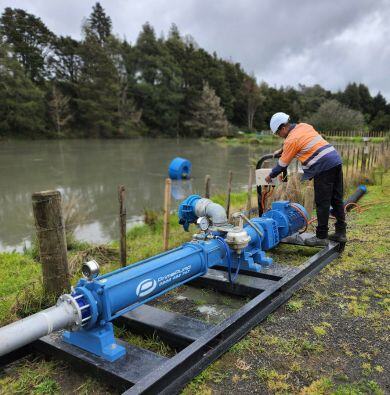 Pond maintenance, Auckland