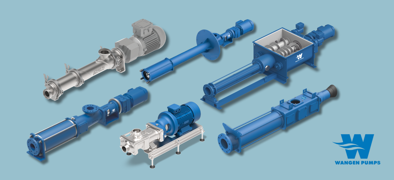Wangen Pumps 